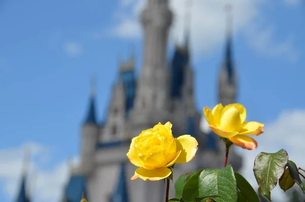 Fleur Jaune Devant Château Princesse — Photo