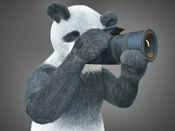 Animal Personagem Panda Com Câmera Suas Patas Olhando Para Visor — Fotografia de Stock