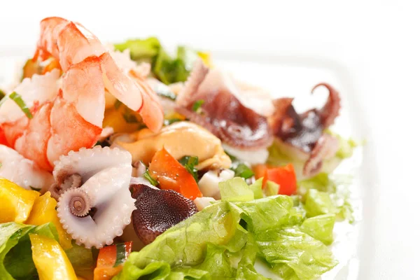 Ensalada Mariscos Plato Cerca — Foto de Stock