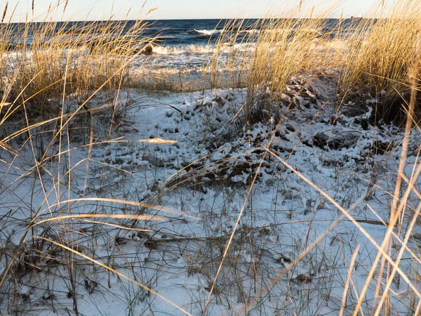 Прекрасний Вид Зиму Заморожені Пустельних Дюн Узбережжя Балтійського Моря Латвії — стокове фото