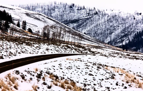 Yellowstone Park Wyoming Invierno Nieve — Foto de Stock