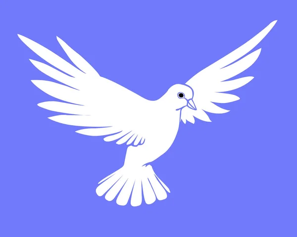 실루엣 파란색 배경에 비둘기 — 스톡 사진
