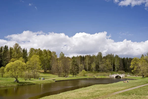 Día Soleado Brillante Parque Primavera Cerca Del Río — Foto de Stock