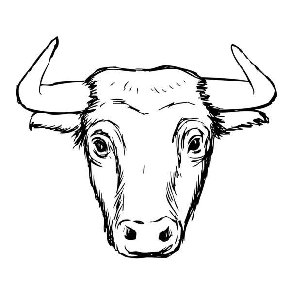 Freehand Skiss Illustration Bull Doodle Hand Dras — Stockfoto