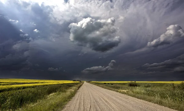 Канада Грозових Хмар Сільських Сільській Місцевості Prairie Сцени — стокове фото
