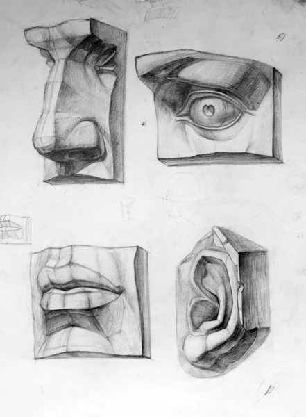 Obrázek Fragmentů Úlomků Lidského Těla Nos Oko Ústa Ucho — Stock fotografie