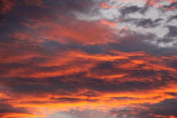 Beau Ciel Coucher Soleil Couleurs Orange Vif Bleu Jaune — Photo