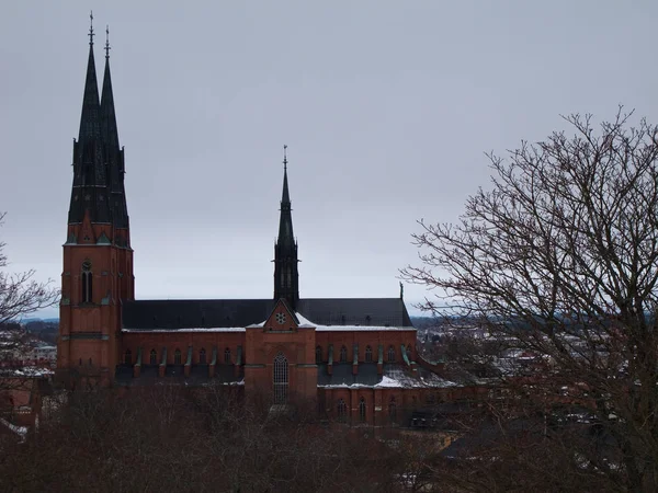 Kathedrale Von Uppsala Schweden Winter Mit Bäumen Vordergrund — Stockfoto