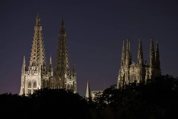 Noční Pohled Katedrálu Burgo Osma — Stock fotografie