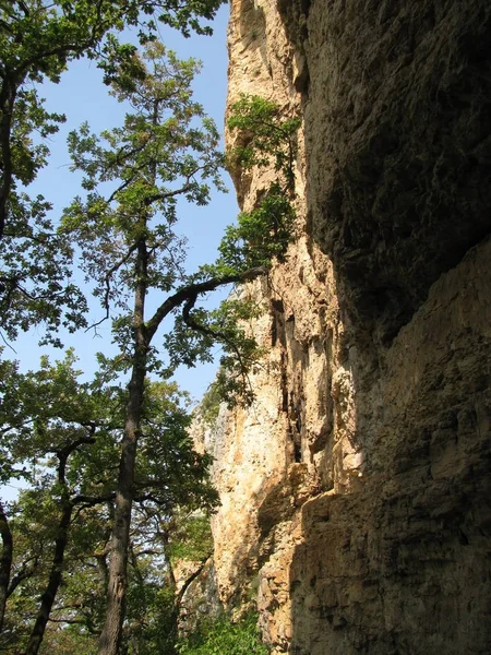 Hory Skály Reliéfní Krajina Kopec Panoramatický Kavkaz Svahu Kopce Sníh — Stock fotografie