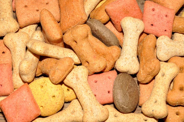 Багатокольоровий Собачий Печиво Формі Кістки — стокове фото
