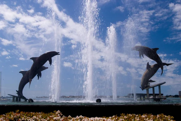 Fontana Con Delfini Sarasota Bay Park — Foto Stock