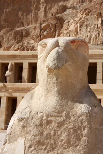 Templo Hatshepsut Luxor Egito Escultura Falcão — Fotografia de Stock