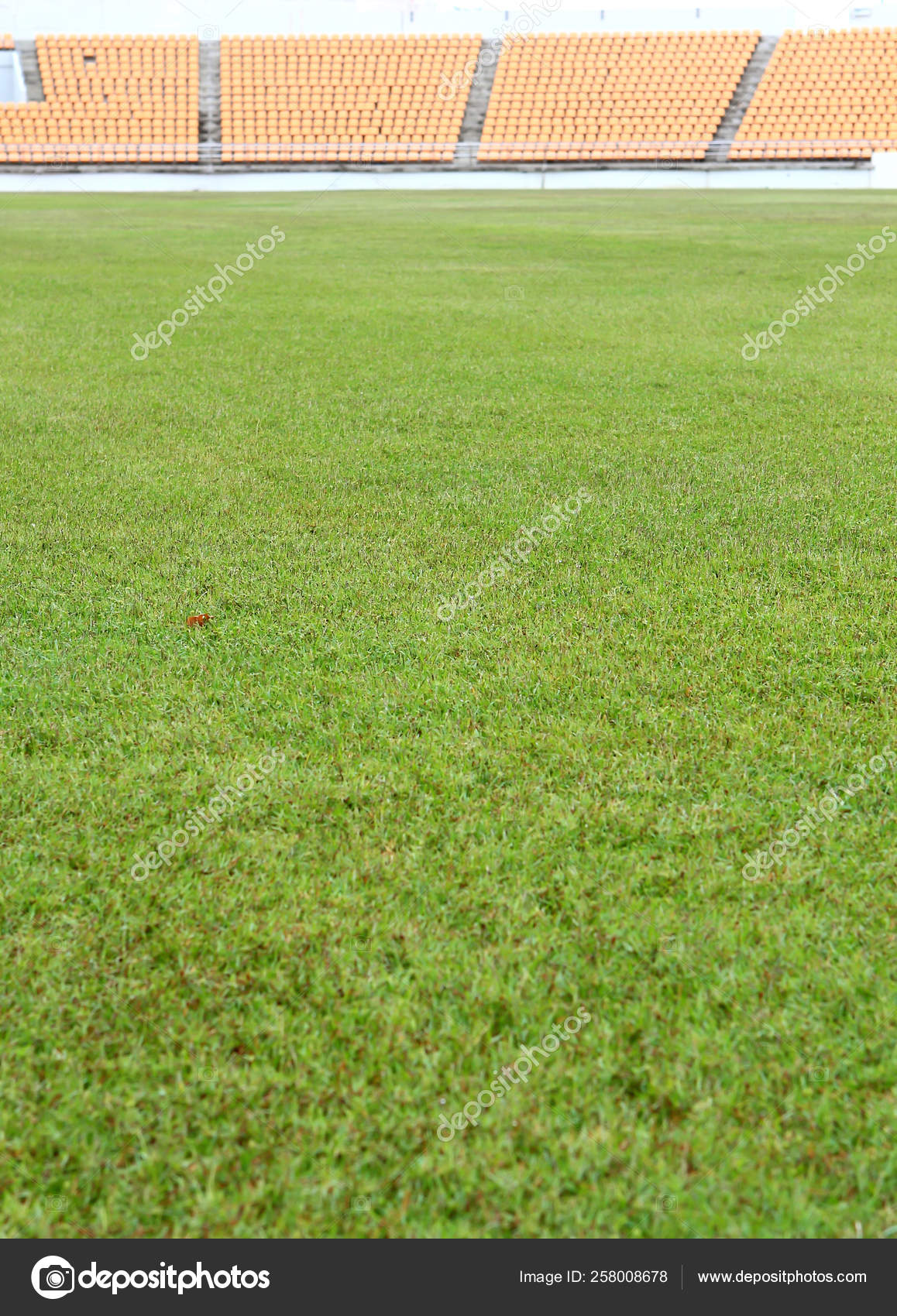 Download Bleachers Green Field Background Stock Photo C Yayimages 258008678 HD Wallpaper Bleachers Green Field Background Stock Photo C Yayimages 258008678 For Free