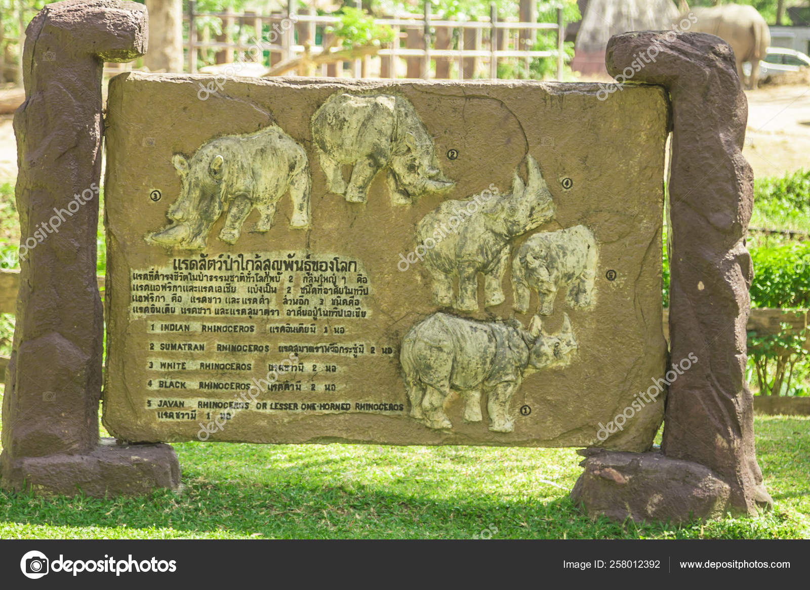 Download 99+ Gambar Flora Dan Fauna Asia Paling Baru Gratis