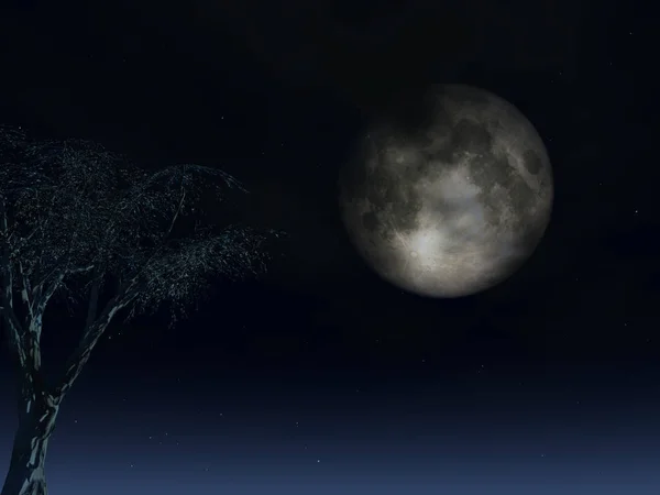 Dolunay Gece Çizim Ağaca — Stok fotoğraf