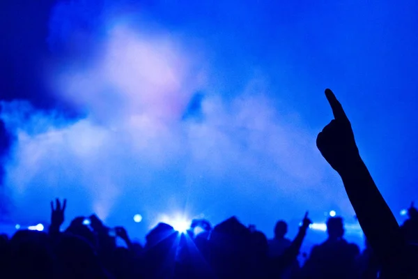 Big Live Music Concert Con Multitud Luces —  Fotos de Stock