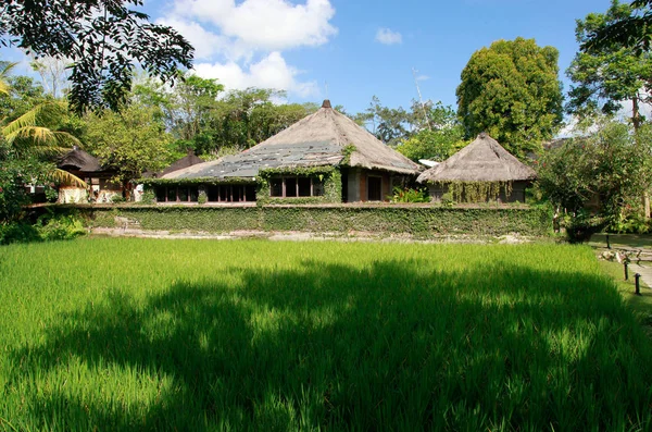 Casa Balinesa Con Vistas Campos Arroz Viajes Turismo — Foto de Stock