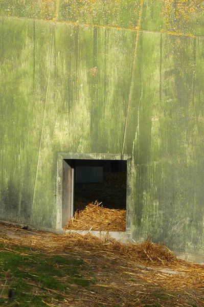 Compartimento Animal Vazio Parque Vida Selvagem — Fotografia de Stock