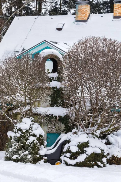 Hermoso Jardín Invierno Siempreverde Con Coníferas Árboles Cubiertos Nieve Fresca — Foto de Stock