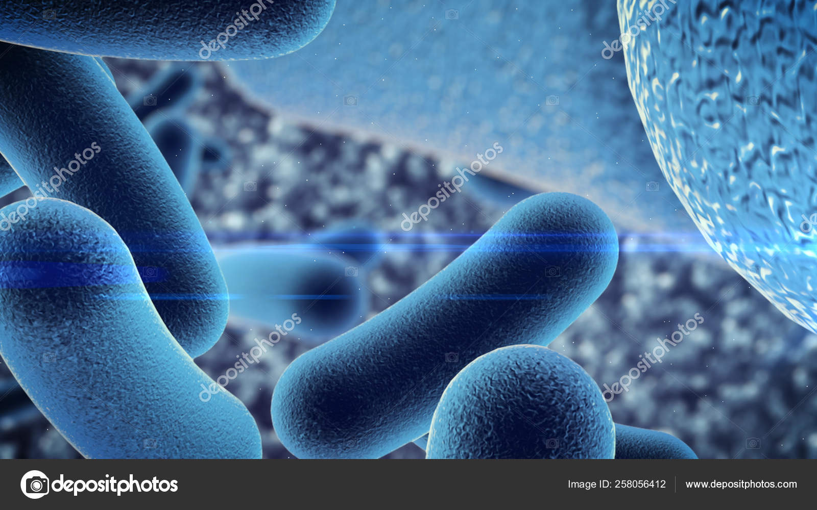 Rendering Germ Bacteria Microscope Stock Photo by ©YAYImages 258056412