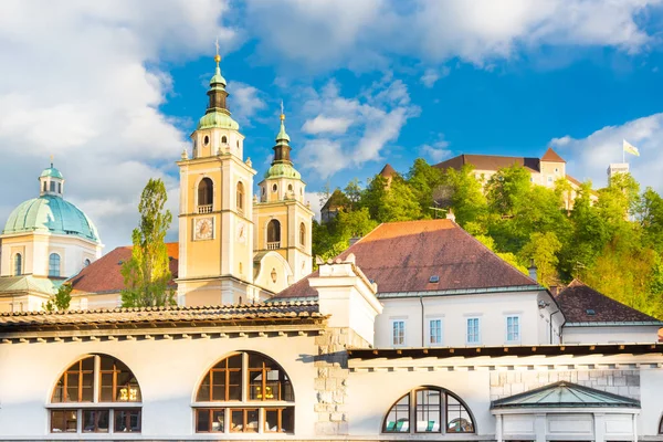 Sloven Başkentin Panoraması Ljubljana Avrupa — Stok fotoğraf