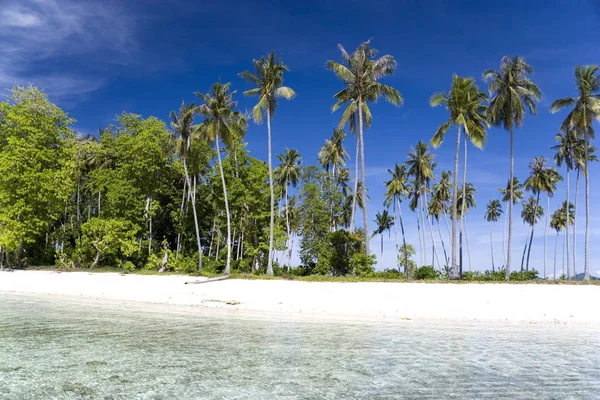 一个偏远的马来西亚热带岛屿 拥有深蓝色的天空 清澈的海水和绿色植物 — 图库照片