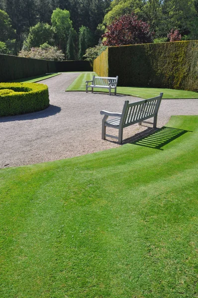 Beautiful Hedge Lawn Formal English Style Garden Taken Rhs Rosemoor — Stock Photo, Image