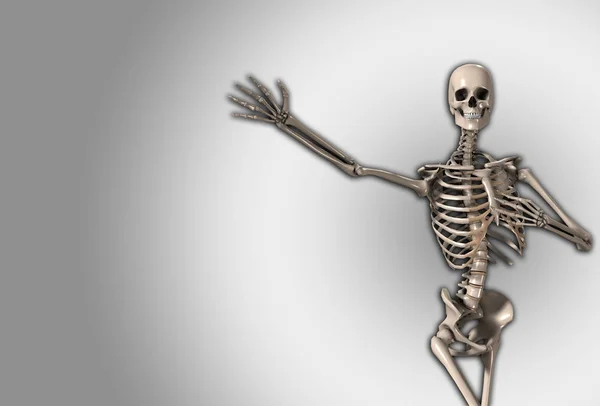 Θέτουν Ένα Σκελετό Μια Λυπηρές Εξελίξεις Βραχίονα — Φωτογραφία Αρχείου