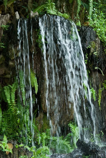 Pequeña Cascada Sobre Fondo Pedregoso Con Plantas Verdes Agua Está —  Fotos de Stock