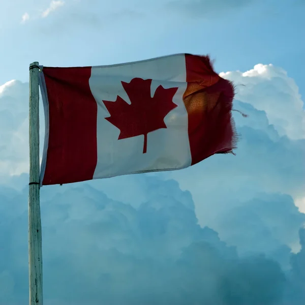 Traditionell Kanadensisk Flagga Blåser Vinden Sköt Mot Vissa Moln — Stockfoto