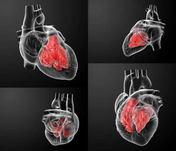 Representación Aurícula Del Corazón —  Fotos de Stock