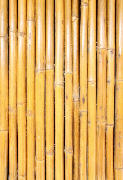 Bambusowa Ściana Tekstury Tła — Zdjęcie stockowe
