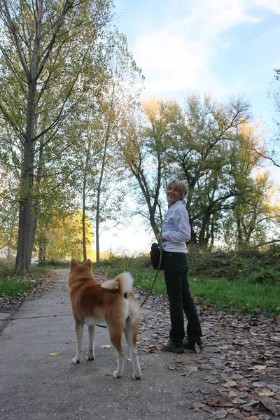 Orman Yolu Üzerinde Poz Onun Köpekli Kadın — Stok fotoğraf