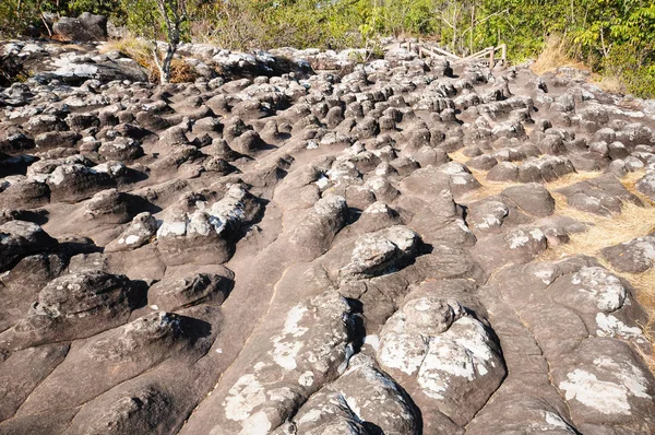 Rocky Ground Tlačítko Které Vyskytuje Přirozeně — Stock fotografie