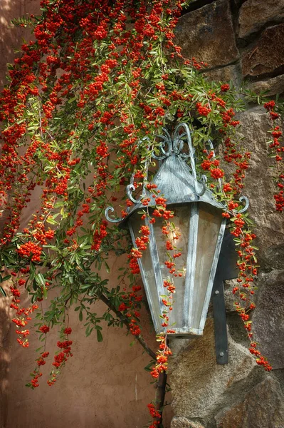 Lamplight Winery Napa Valley California — Stock Photo, Image