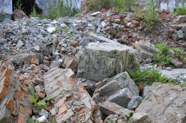 Viejo Edificio Destruido Ciudad Vladivostok —  Fotos de Stock