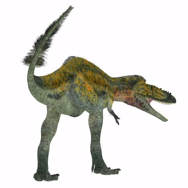 Alioramus Carnivorous Theropod Dinosaur Lived Asia Cretaceous