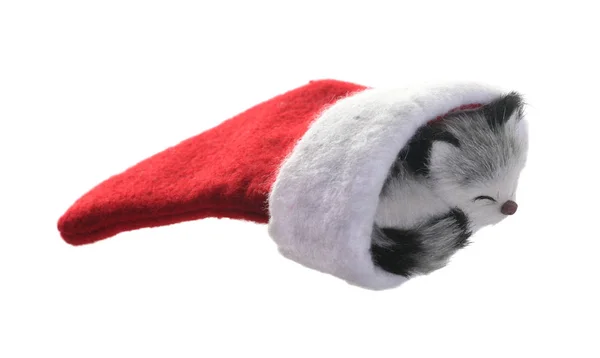 Medias Navidad Con Gatito Gris Aislado Sobre Fondo Blanco —  Fotos de Stock