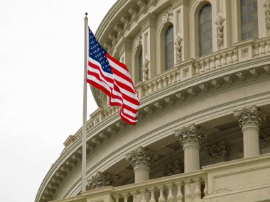 United States Capitol Building in Washington DC with American Flag clipart