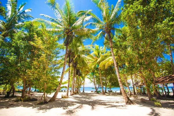 Playa Tropical Soleada Hermoso Complejo Exótico — Foto de Stock