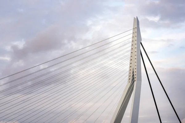 Primer Plano Del Puente Erasmus Rotterdam Países Bajos — Foto de Stock