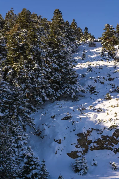Ziria Montaña Cubierta Nieve Día Invierno Korintia Peloponeso Del Sur — Foto de Stock
