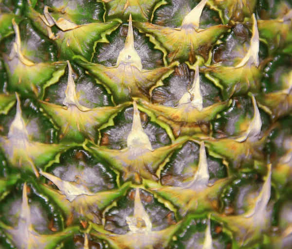Image Grand Fond Ananas Coloré Appétissant — Photo