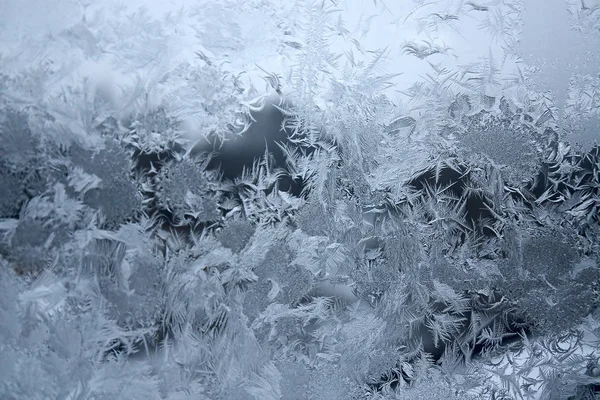 窓からすに霜のビュー フィールドの浅い深さを持つイメージ — ストック写真