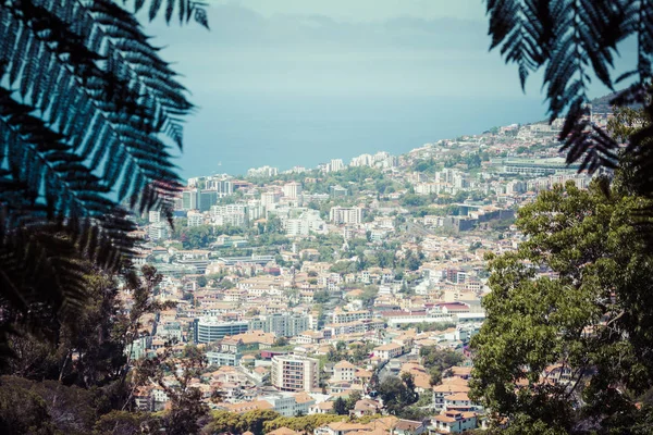 Capitale Dell Isola Madeira Funchal — Foto Stock