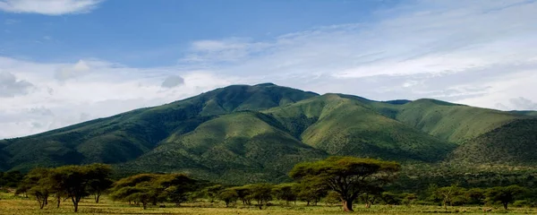 Una Montagna Verde Che Sovrasta Savana Africana — Foto Stock