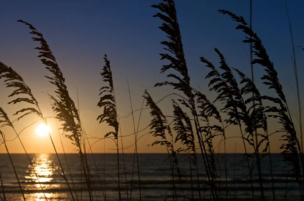 Hafer Den Flitterwochen Insel Florida Mit Dramatischen Sonnenuntergang Hintergrund — Stockfoto