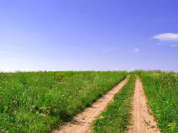 Îmbătrânirea Drumului Rural Câmp Verde — Fotografie, imagine de stoc