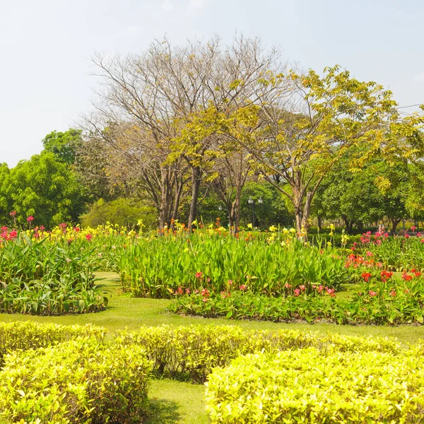 Hermoso Jardín Verde Parque — Foto de Stock